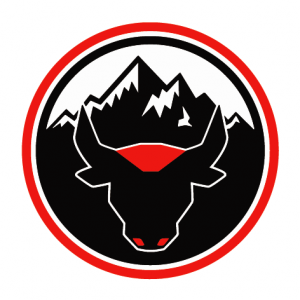 Logo D' TOROS